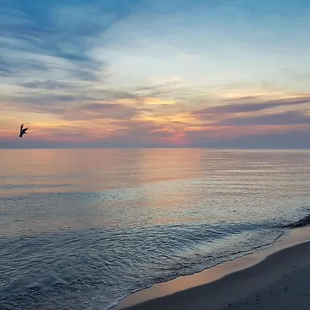 Nyaraló Dwarsloeper - Baabe