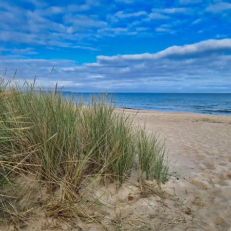 Dwarsloeper - * באבה