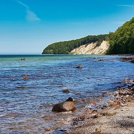 Dwarsloeper - * Baabe